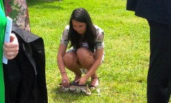 surveillance dorking & surrey